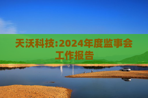 天沃科技:2024年度监事会工作报告  第1张