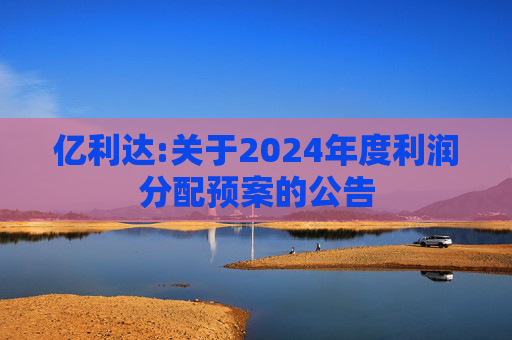 亿利达:关于2024年度利润分配预案的公告  第1张