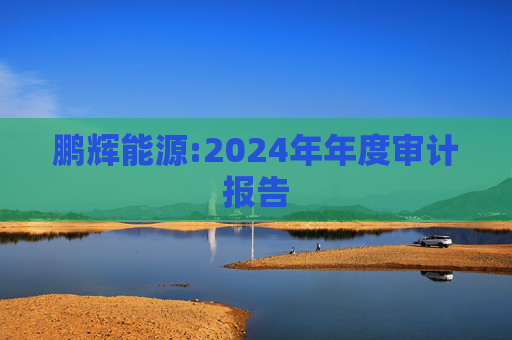 鹏辉能源:2024年年度审计报告