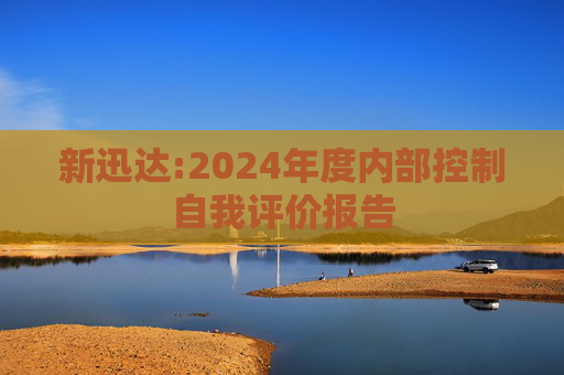 新迅达:2024年度内部控制自我评价报告  第1张