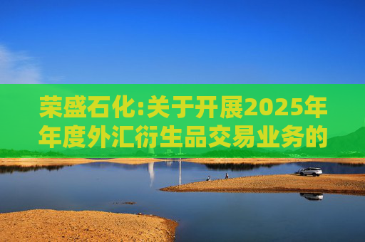 荣盛石化:关于开展2025年年度外汇衍生品交易业务的公告