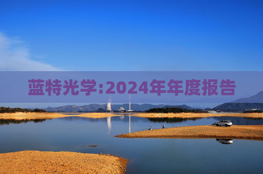 蓝特光学:2024年年度报告  第1张