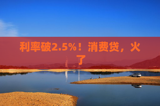 利率破2.5%!消费贷,火了 第1张 利率破2.5%!消费贷,火了 第1张