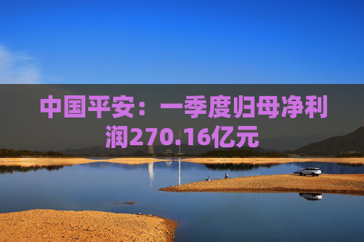 中国平安：一季度归母净利润270.16亿元  第1张