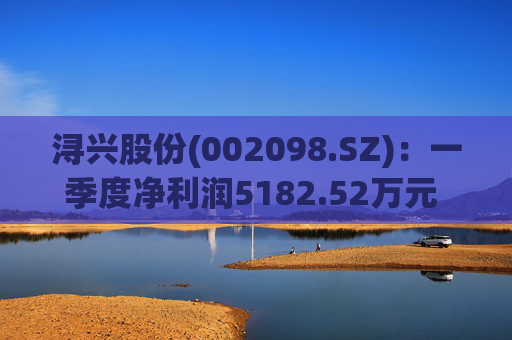 浔兴股份(002098.SZ)：一季度净利润5182.52万元 同比增加41.52%