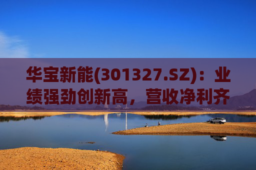 华宝新能(301327.SZ)：业绩强劲创新高，营收净利齐突破