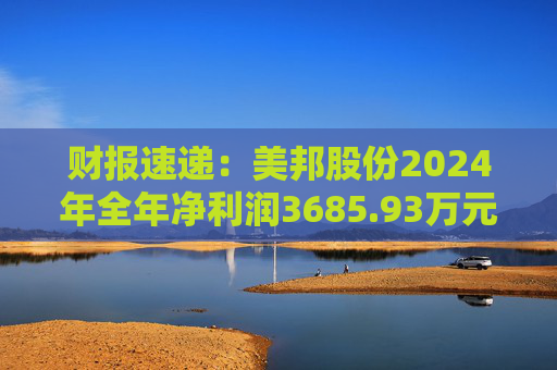 财报速递：美邦股份2024年全年净利润3685.93万元  第1张