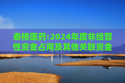 泰格医药:2024年度非经营性资金占用及其他关联资金往来情况的专项报告  第1张