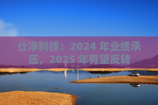 仕净科技：2024 年业绩承压，2025 年有望反转