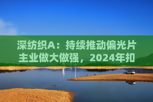 深纺织A:持续推动偏光片主业做大做强,2024年扣非归母净利润增长23.58%