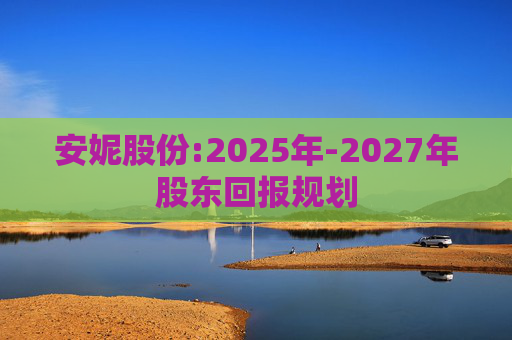 安妮股份:2025年-2027年股东回报规划  第1张