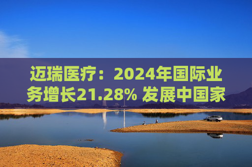 迈瑞医疗：2024年国际业务增长21.28% 发展中国家成重要增长引擎