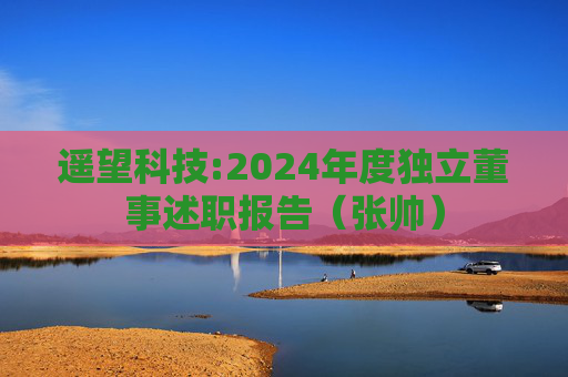 遥望科技:2024年度独立董事述职报告(张帅)