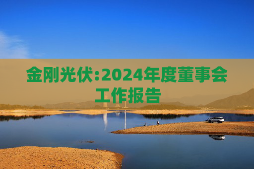 金刚光伏:2024年度董事会工作报告  第1张