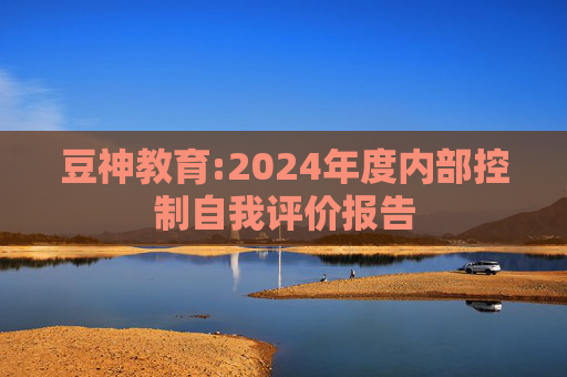 豆神教育:2024年度内部控制自我评价报告