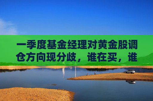 一季度基金经理对黄金股调仓方向现分歧，谁在买，谁在卖？