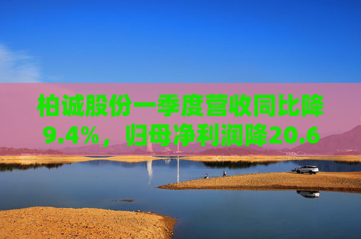 柏诚股份一季度营收同比降9.4%,归母净利润降20.6% 第1张 柏诚股份一季度营收同比降9.4%,归母净利润降20.6% 第1张