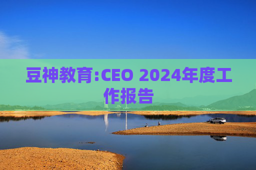 豆神教育:CEO 2024年度工作报告  第1张
