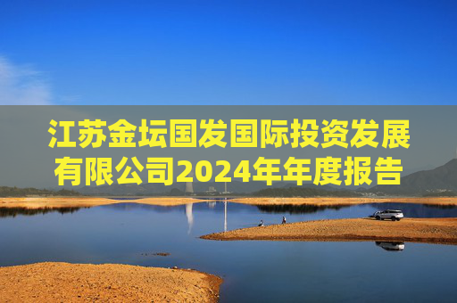 江苏金坛国发国际投资发展有限公司2024年年度报告  第1张