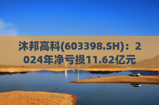 沐邦高科(603398.SH)：2024年净亏损11.62亿元