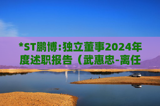 *ST鹏博:独立董事2024年度述职报告(武惠忠-离任)