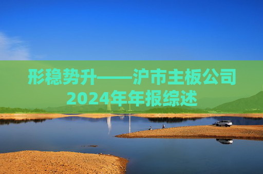 形稳势升——沪市主板公司2024年年报综述  第1张