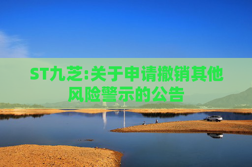 ST九芝:关于申请撤销其他风险警示的公告  第1张