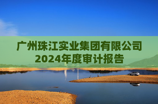 广州珠江实业集团有限公司2024年度审计报告  第1张