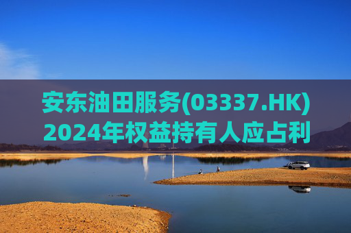 安东油田服务(03337.HK)2024年权益持有人应占利润2.43亿元 同比增长约23.5%