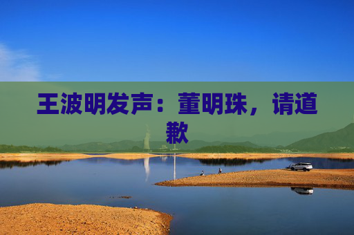 王波明发声：董明珠，请道歉