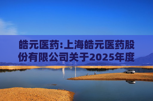 皓元医药:上海皓元医药股份有限公司关于2025年度日常关联交易预计的公告