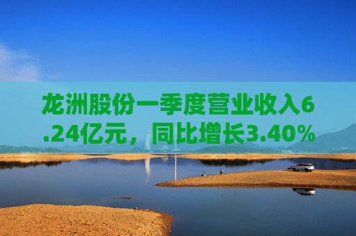 龙洲股份一季度营业收入6.24亿元，同比增长3.40%