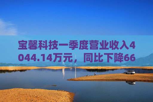 宝馨科技一季度营业收入4044.14万元,同比下降66.73%