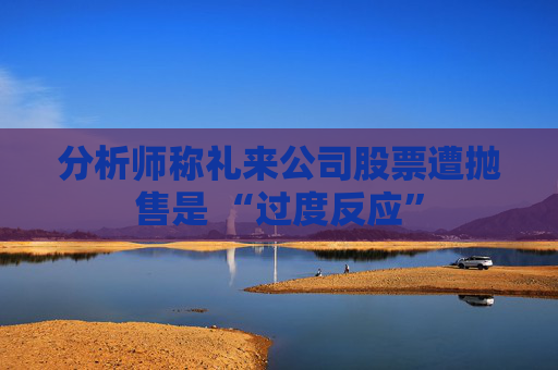 分析师称礼来公司股票遭抛售是 “过度反应”  第1张