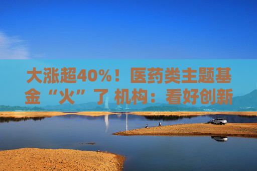大涨超40%！医药类主题基金“火”了 机构：看好创新药投资机会  第1张