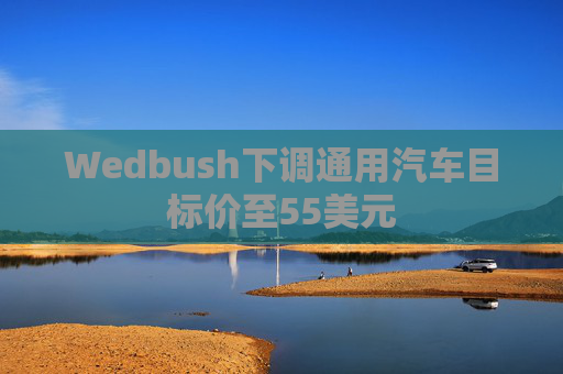 Wedbush下调通用汽车目标价至55美元