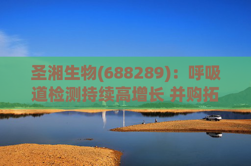 圣湘生物(688289)：呼吸道检测持续高增长 并购拓展成长边界