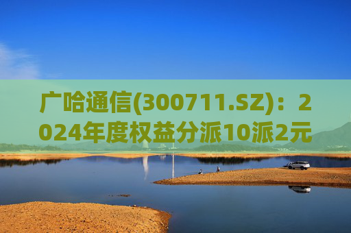 广哈通信(300711.SZ)：2024年度权益分派10派2元 股权登记日5月12日  第1张
