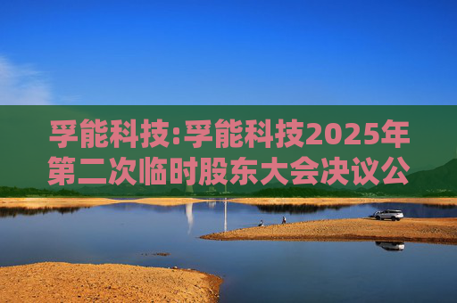 孚能科技:孚能科技2025年第二次临时股东大会决议公告  第1张