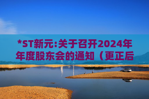 *ST新元:关于召开2024年年度股东会的通知（更正后）