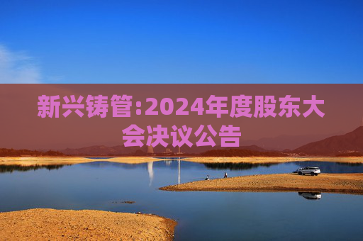 新兴铸管:2024年度股东大会决议公告  第1张