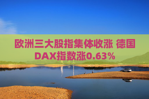 欧洲三大股指集体收涨 德国DAX指数涨0.63%