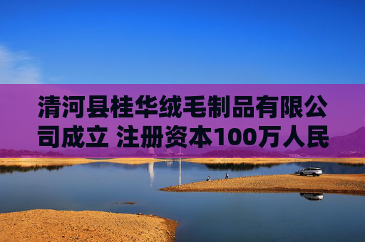 清河县桂华绒毛制品有限公司成立 注册资本100万人民币  第1张
