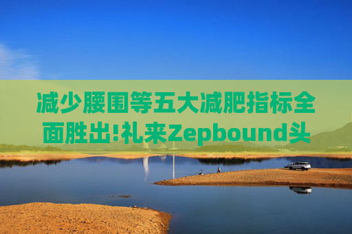 减少腰围等五大减肥指标全面胜出!礼来Zepbound头对头试验碾压诺和诺德(NVO.US)Wegovy  第1张