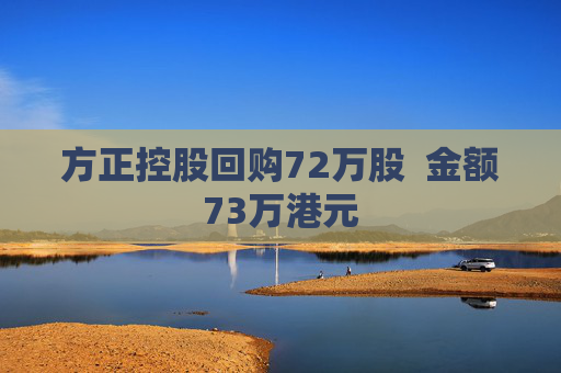 方正控股回购72万股  金额73万港元 第1张