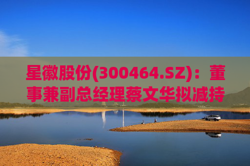 星徽股份(300464.SZ)：董事兼副总经理蔡文华拟减持20.25万股