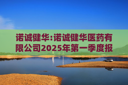 诺诚健华:诺诚健华医药有限公司2025年第一季度报告  第1张