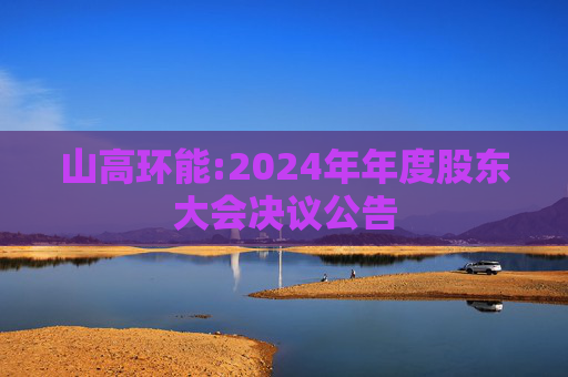 山高环能:2024年年度股东大会决议公告