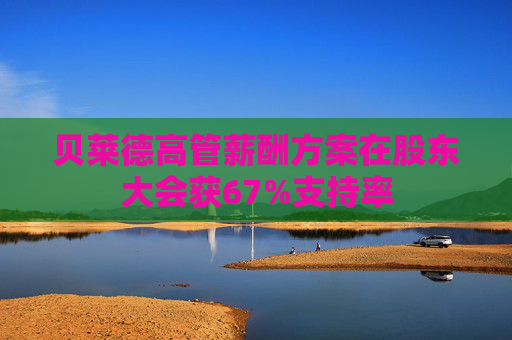 贝莱德高管薪酬方案在股东大会获67%支持率