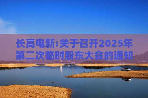 长高电新:关于召开2025年第二次临时股东大会的通知  第1张